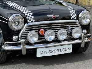 Mini grille, front bumper and light surrounds