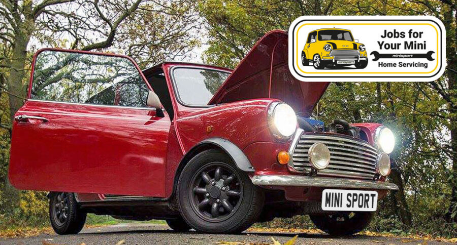 Visually checking your Mini