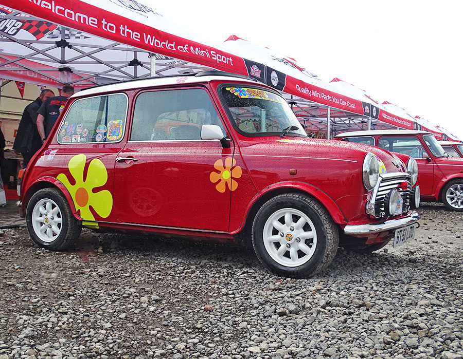 Flower-themed Mini parked outside at IMM.